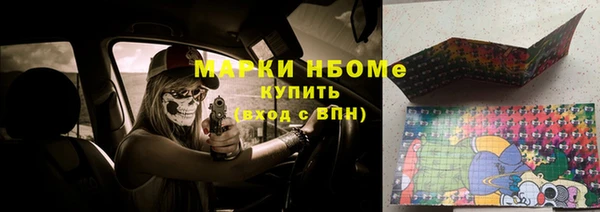 стаф Нефтегорск