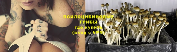 а пвп мука Тында