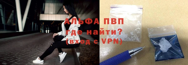 PSILOCYBIN Надым