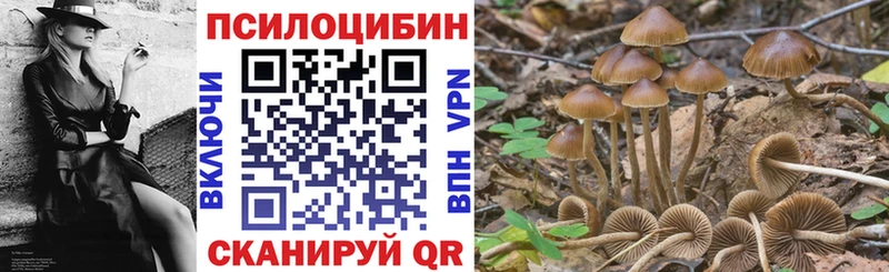 Псилоцибиновые грибы ЛСД Лосино-Петровский